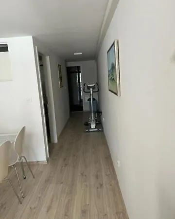 Art Apartma Lucija *